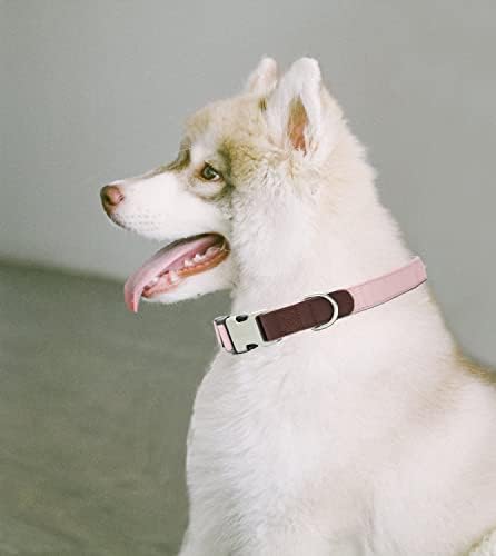 Tanpie ovratnik za pse za male srednje velike pse podesive najlonske štene sa sigurnosnim kopčama za zaključavanje, plavo, sivo, ružičasto