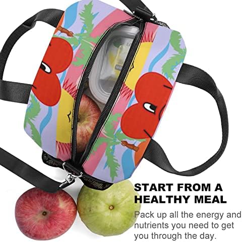 Torba za ručak izolovana hladnjak termo višekratna prenosiva torba za ručak kutija za studente djevojčice dječaci kampovanje planinarenje