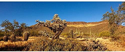 AWERT pozadina terarija plavo nebo planina oaza pustinja ogroman kaktus Sunce i Gobi stanište gmizavaca pozadina 30x12 inča vinil