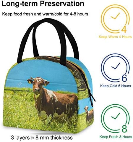 Izolovana torba za ručak za žene - životinjski kravlji travnjak velike nepropusne torbe za ručak sa naramenicama za radni piknik