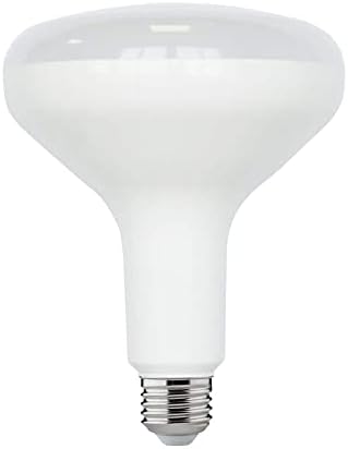 Home Depot 75-Watt ekvivalentna BR40 CEC LED sijalica sa mogućnošću zatamnjivanja 2700k meka Bijela vlažna lokacija Nazivna