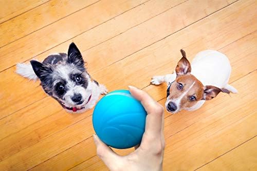 Sikoon Wicked Ball, automatska i interaktivna lopta za održavanje vašeg psa / mačaka cijeli dan, radost vašeg ljubimca kad kući