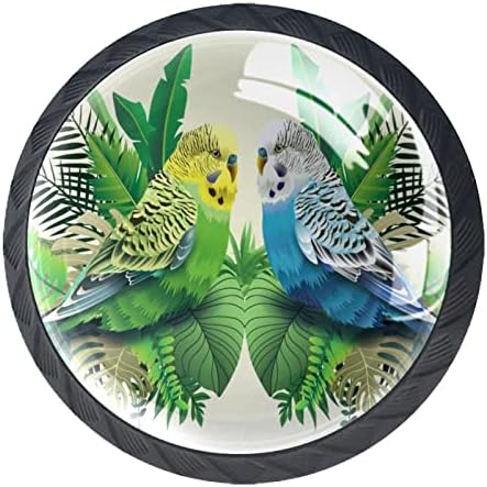 Ladica ručke zelena plava papagaj u lišće par RV ured kući kuhinja ormar ormari komoda hardver ladice stakleni ormarići zabava ručke