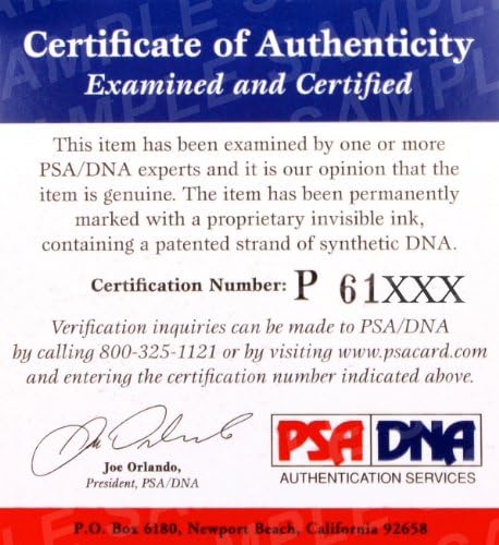 Cesar Gracie potpisane UFC rukavice PSA/DNA COA StrikeForce MMA Jiu-Jitsu rukavice sa autogramom