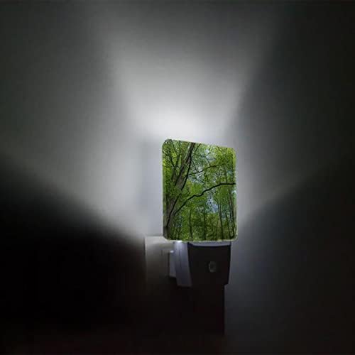 Noćno svjetlo za djecu, klasična tropska šumska Zelena stabla prirodni krajolik LED noćno svjetlo Priključite se na zid sa svjetlosnim